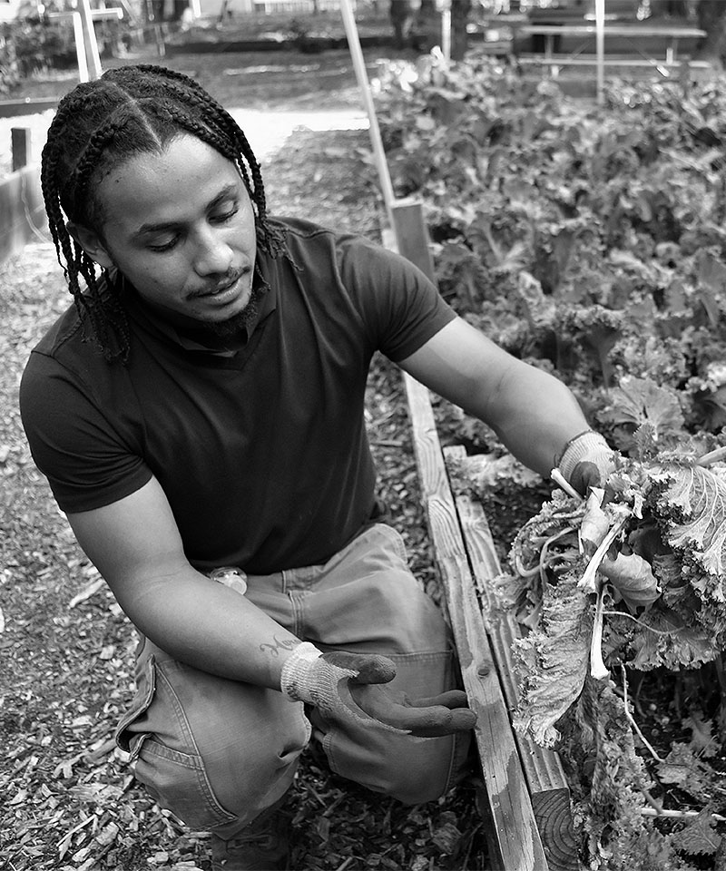 Portrait of Domingo Morales