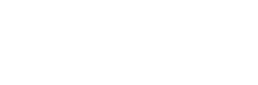 News 12 Brooklyn logo