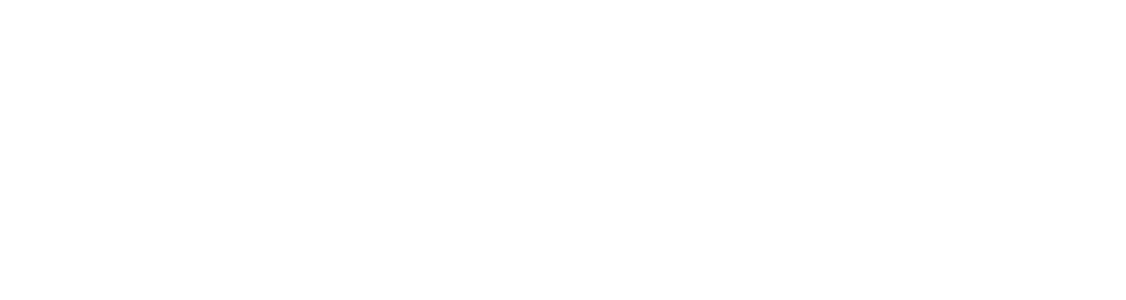 Spectrum News NY1 logo